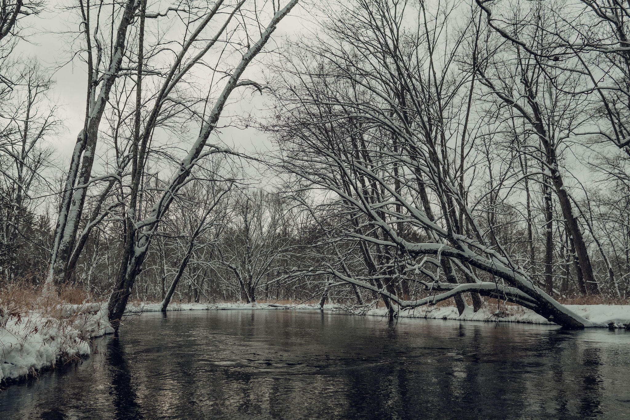Angler working a winter steelhead run on a Washington river