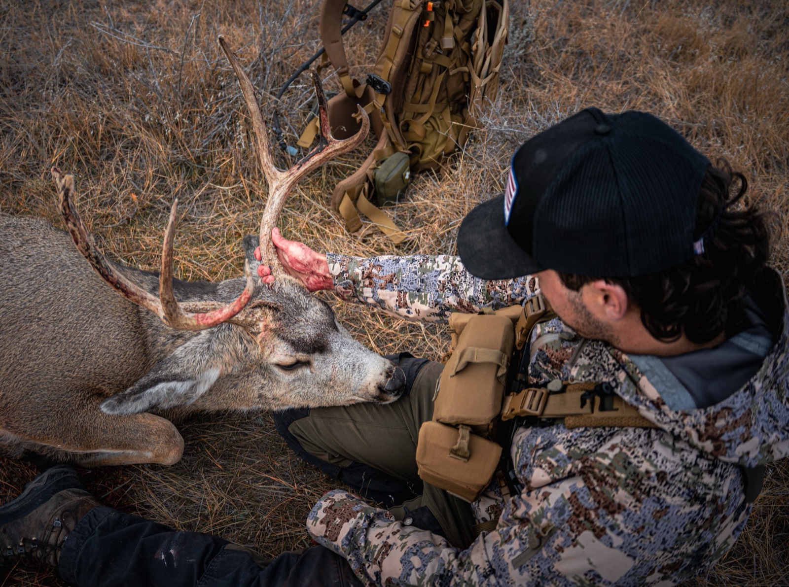 Hunter with a mule deer buck in dry grass