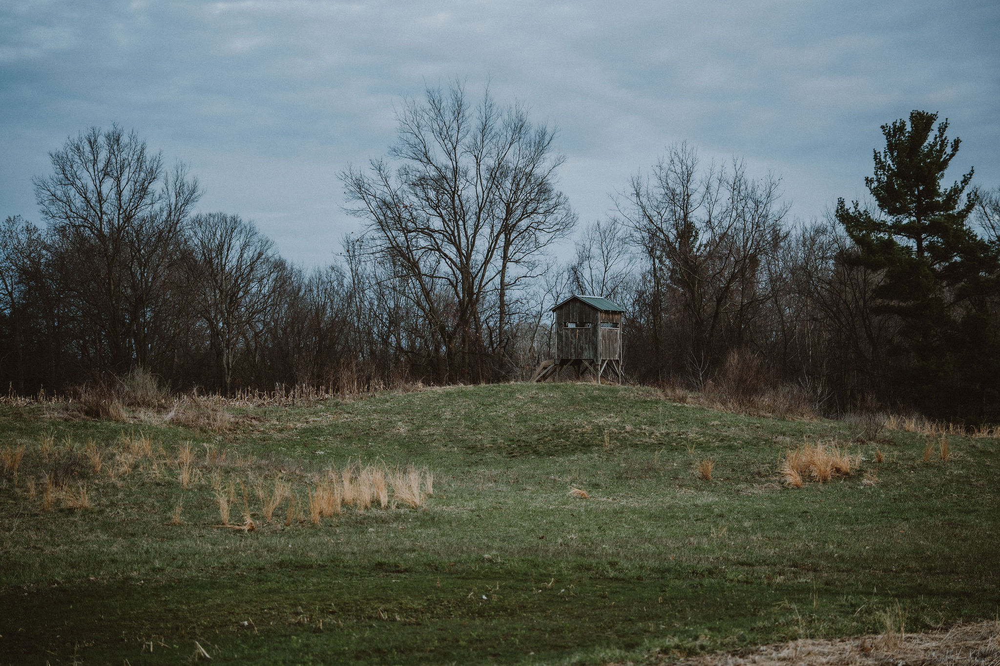 Hunting blind on a Pacific Northwest field at dusk